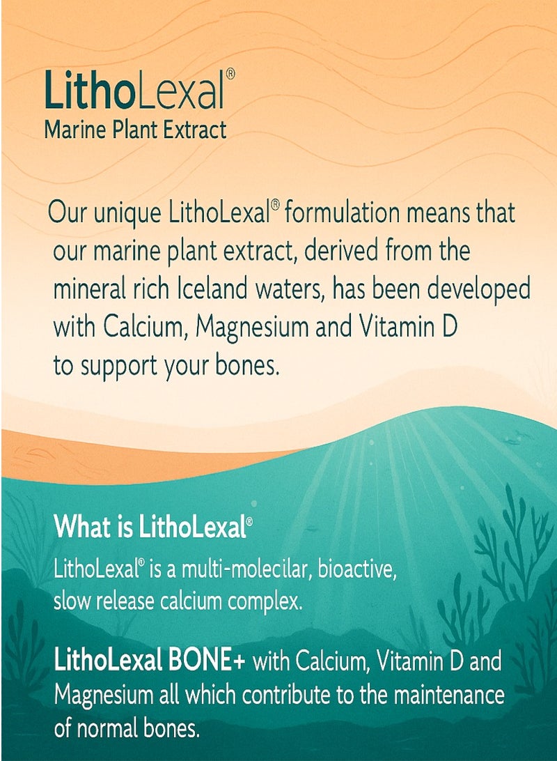 LithoLexal Bone health Supplement, containing Plant-Based Calcium, Magnesium and Vitamin d - Image 2