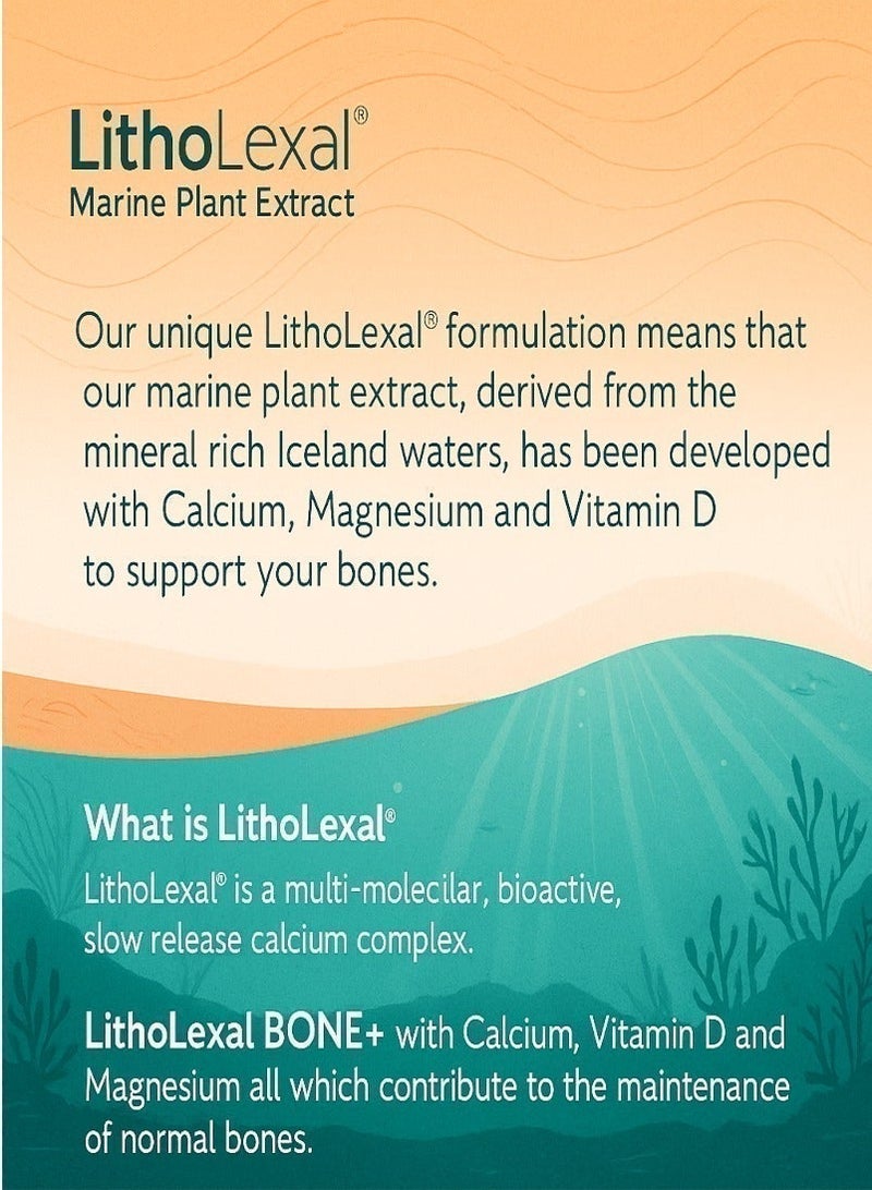 LithoLexal Bone Health – Marine Plant Based Calcium Complex with 800 mg Calcium, Magnesium & Vitamin D3 for Bone Strength and Density – 60 Tablets - Image 5