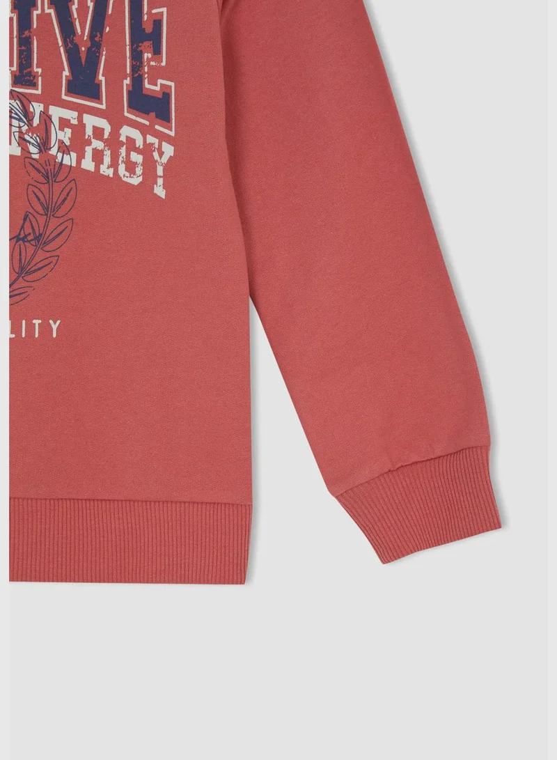 DeFacto Regular Fit Crew Neck Long Sleeve Knitted Sweatshirt