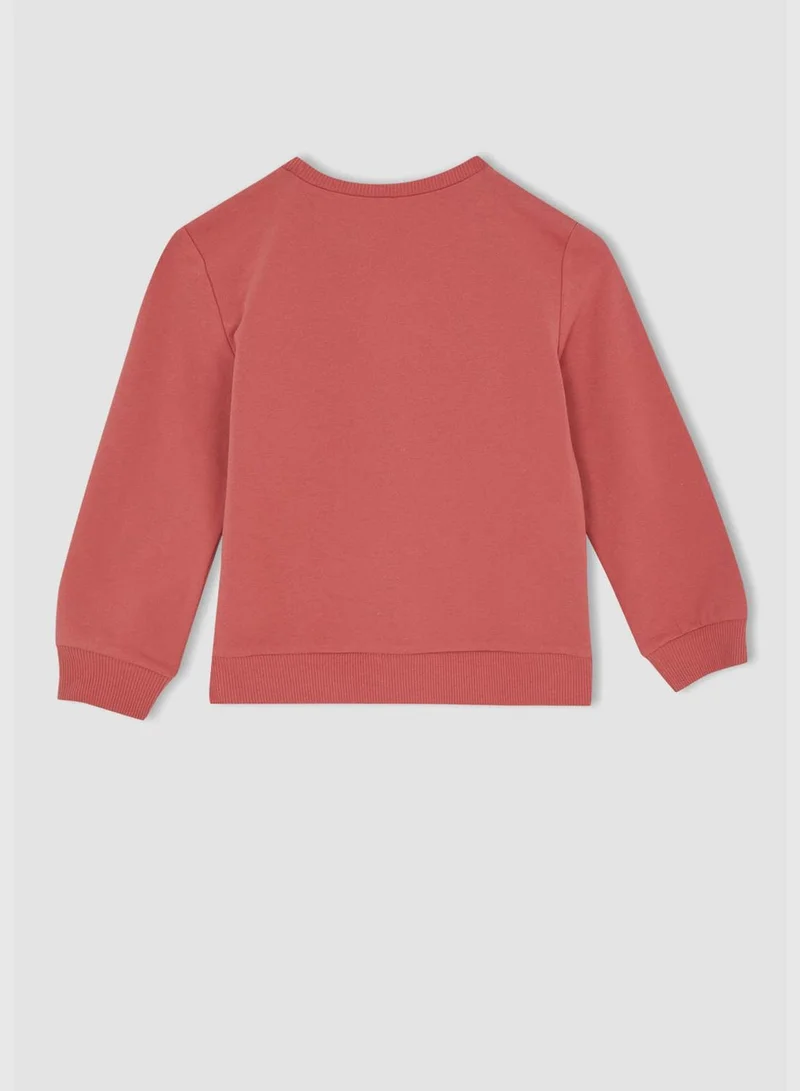DeFacto Regular Fit Crew Neck Long Sleeve Knitted Sweatshirt