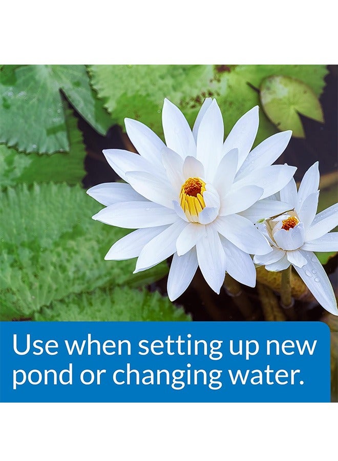 API محايد الكلور والمعادن الثقيلة للبرك - 16 أونصة - Image 2