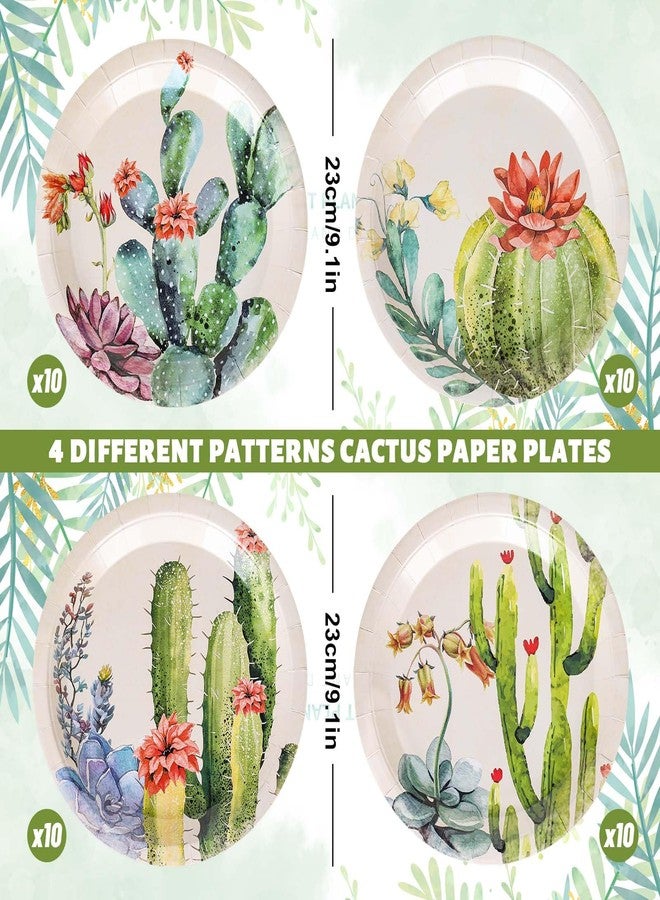 JarThenaAMCS جرثينا AMCS 40 قطعة أطباق ورقية على شكل صبار مزخرفة بألوان مائية 4 تصاميم عتيقة صيفية أدوات مائدة زخرفية لحفلات عيد الميلاد وحفلات استقبال المواليد وديكورات العطلات - Image 2