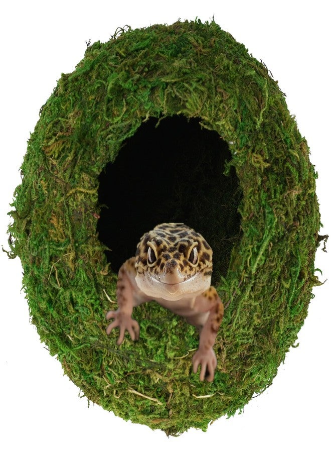 USMOLA Mossy Caves, Artificial Green Moss Caves Hide for Pet Reptile Frogs and Snakes, Terrarium & Vivarium Decor, Crested Gecko Tank Decor (4" - Woodland Green) - Image 1