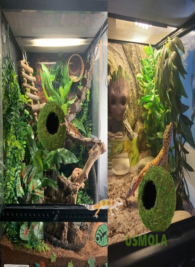 USMOLA Mossy Caves, Artificial Green Moss Caves Hide for Pet Reptile Frogs and Snakes, Terrarium & Vivarium Decor, Crested Gecko Tank Decor (4" - Woodland Green) - Image 5
