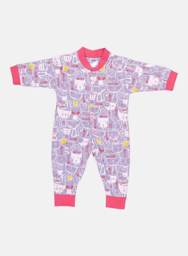 بابيلون سالوبت انترلوك القطط (2025)