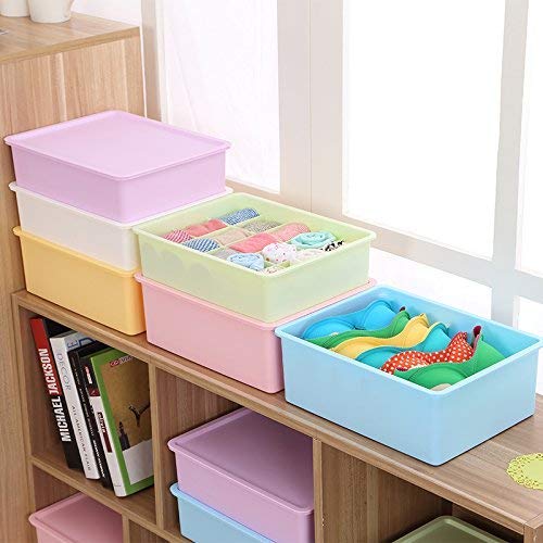 Swamey SWAMEY ISHIN Storage Drawer Organizer Box 30 x 225 x 8 cm Multicolour - Image 4