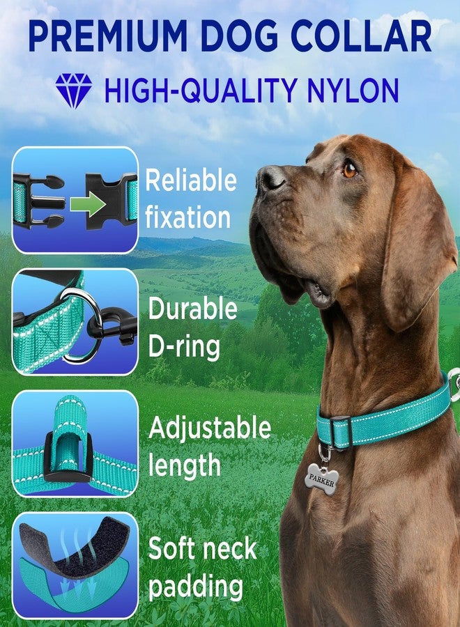 TECEUM Dog Collar - Aquamarine - Collar for All Breeds and Sizes of Cats and Dogs - M - Image 2