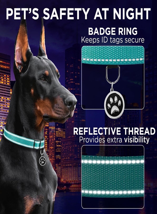 TECEUM Dog Collar - Aquamarine - Collar for All Breeds and Sizes of Cats and Dogs - M - Image 4