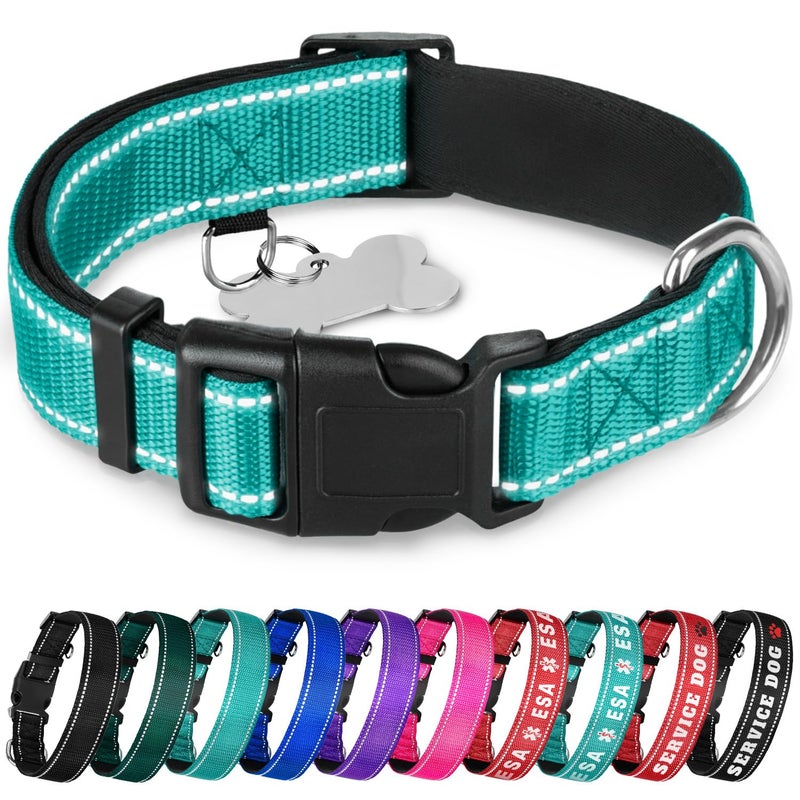 TECEUM Dog Collar - Aquamarine - Collar for All Breeds and Sizes of Cats and Dogs - M - Image 1