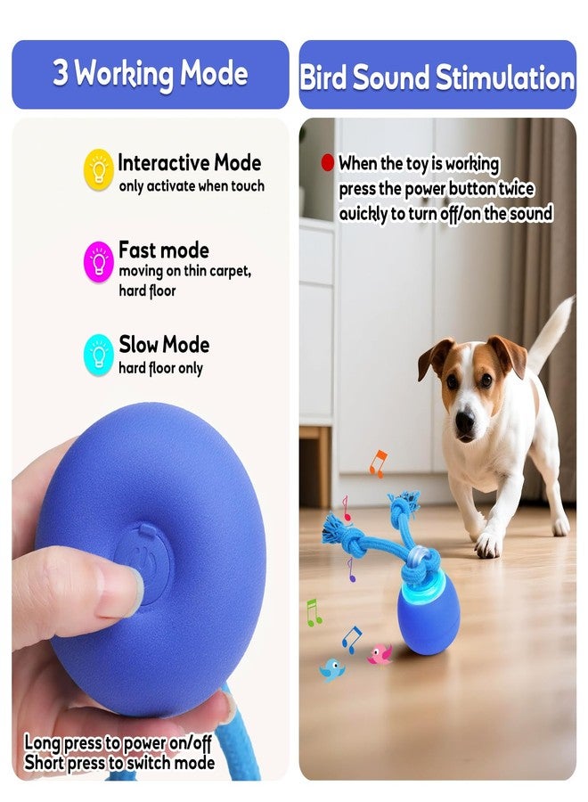 BENTOPAL Interactive Dog Toys Touch Activated Bouncing & Jumping Dog Ball with Rope, Squeaky Doggie Toys to Keep Them Busy - Image 3
