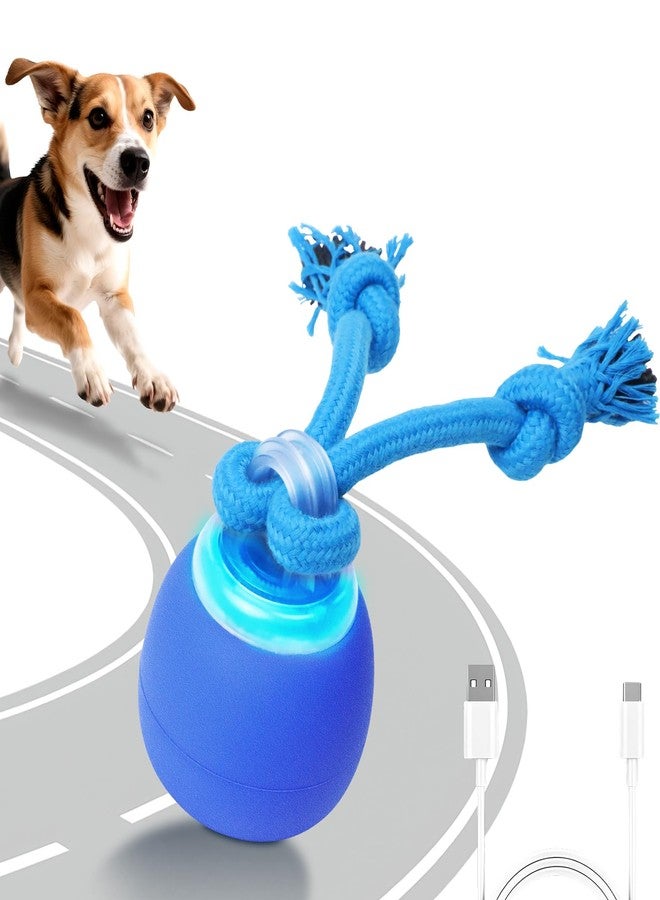 BENTOPAL Interactive Dog Toys Touch Activated Bouncing & Jumping Dog Ball with Rope, Squeaky Doggie Toys to Keep Them Busy - Image 1