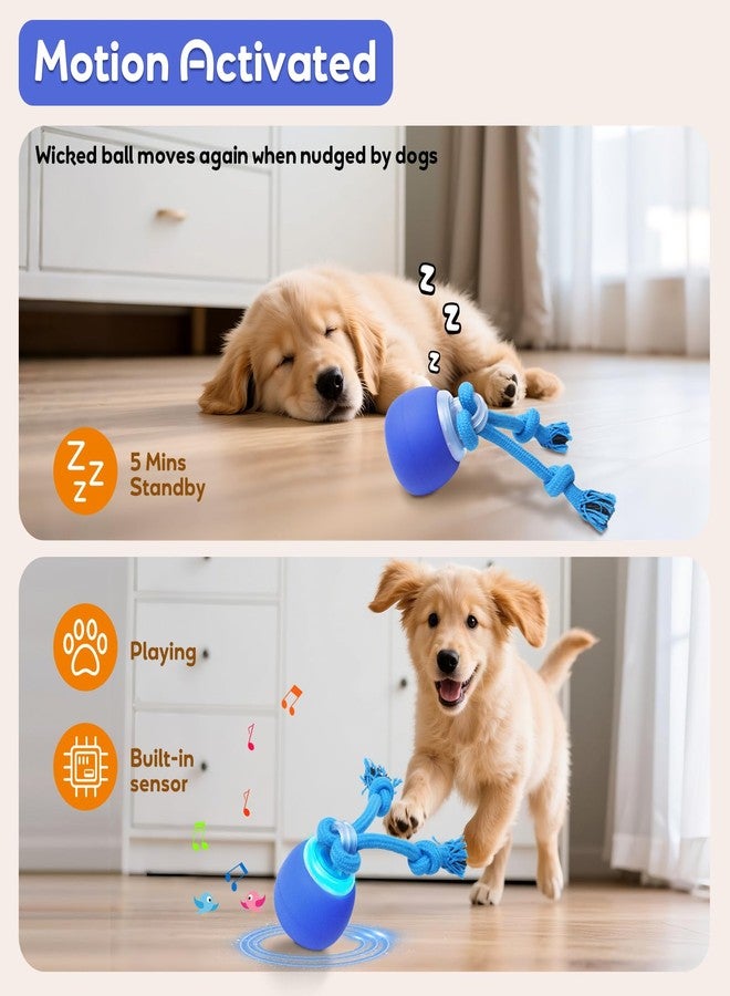 BENTOPAL Interactive Dog Toys Touch Activated Bouncing & Jumping Dog Ball with Rope, Squeaky Doggie Toys to Keep Them Busy - Image 2