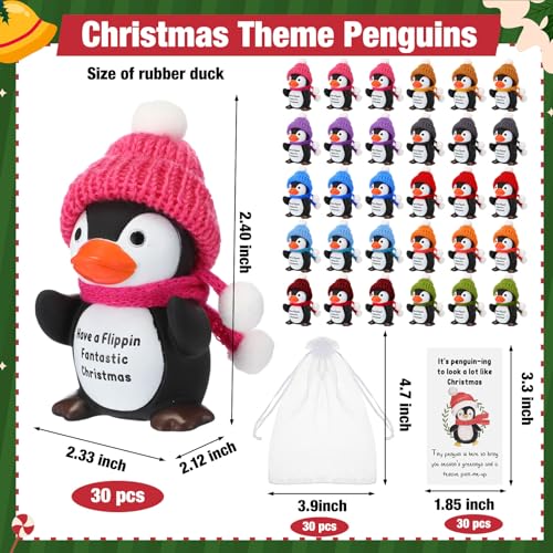 Liliful 30 Set Christmas Employee Appreciation Gifts Bulk for Coworkers Thank You Holiday Gift for Team Staff Volunteer Teachers Inspirational Small Penguins with Card Xmas Prizes Party Favors - Image 3
