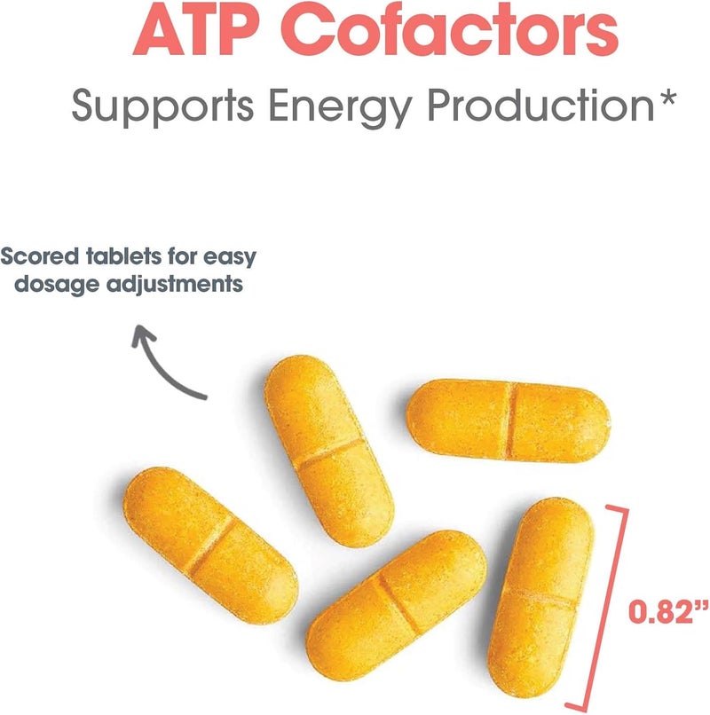 Optimox ATP Cofactors Supplement  Vitamin B Complex for Men  Women Vitamin B2 Vitamin B3 100mg Riboflavin 500mg Niacin High Potency Tablets  90 Count - Image 5