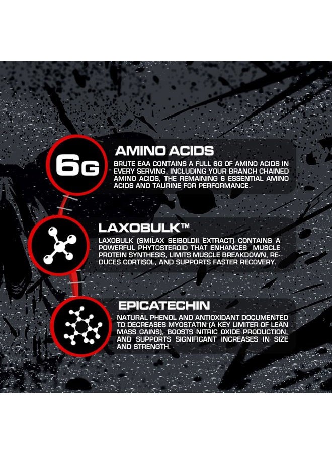 KILLER LABZ Brute EAA | 6g Amino Acids | Laxobulk & Epicatechin | 60 Servings (Furious Punch) - Image 4