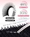 BEYELIAN Flat Eyelash Extension Ellipse Lash Extensions 020 C Curl 13mm 16 Rows Matte Black Eyelash Extension Supplies Classic Lash Extensions Individual Eyelashes Salon Use - Image 4