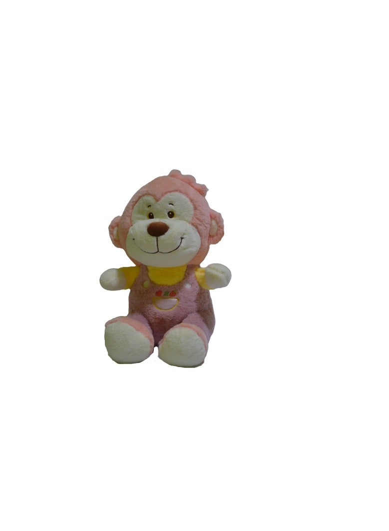 Small Colorful Monkey Teddy