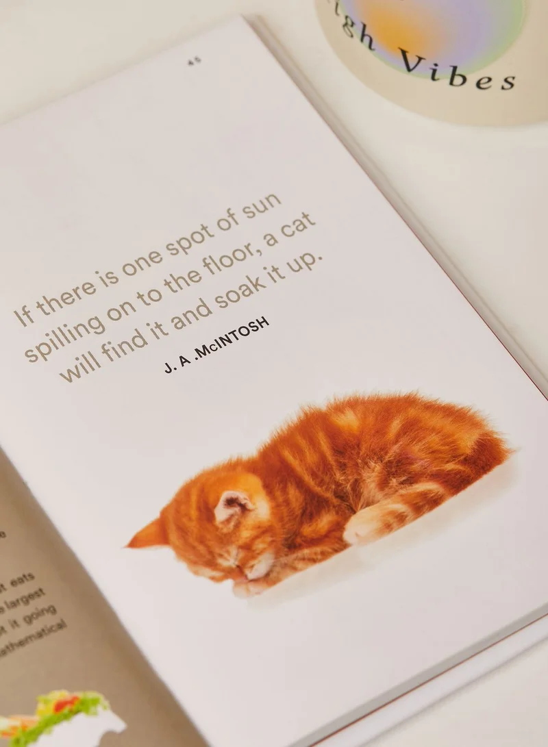 All Sorted Is My Cat A Genius?