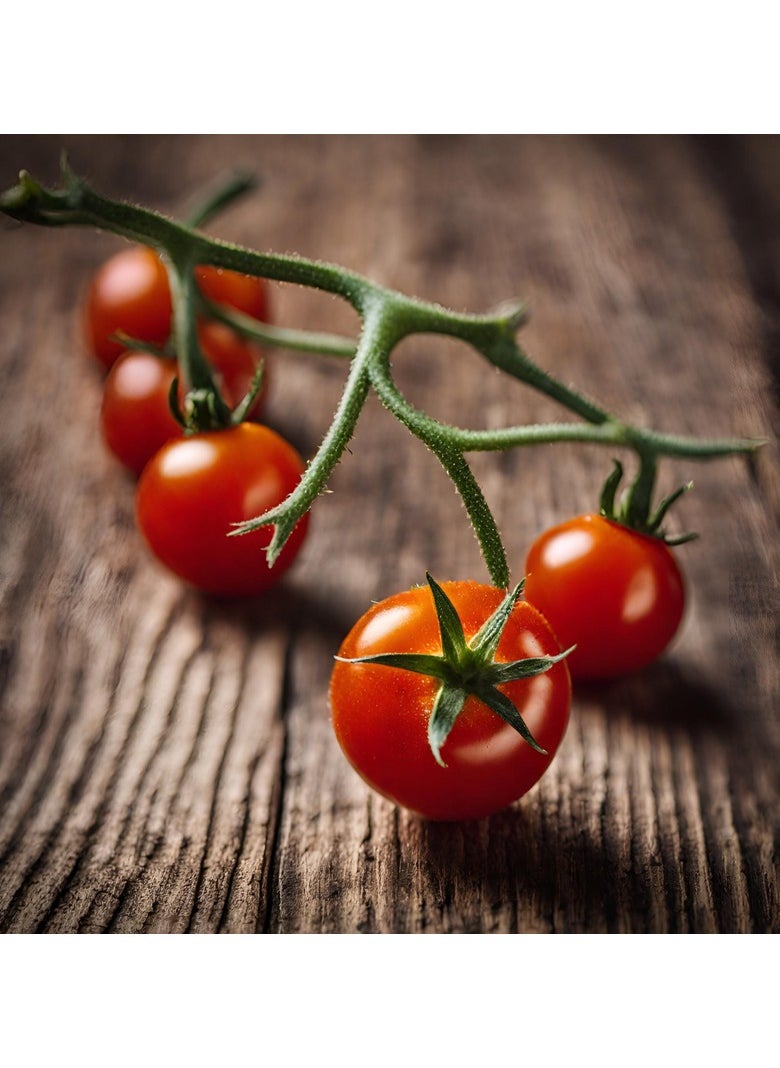 GROW Cherry tomato seeds al-fajr  - Image 2