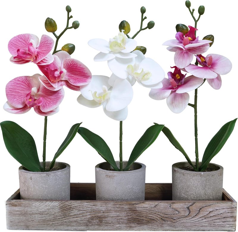 Winlyn Set of 3 Small Artificial Orchid Potted Plants Arrangement with Rustic Wood Planter Box Real Touch Faux Phalaenopsis Moth Orchid Flowers in Pots for Home Office Desk Shelf Table Centerpiece - Image 1