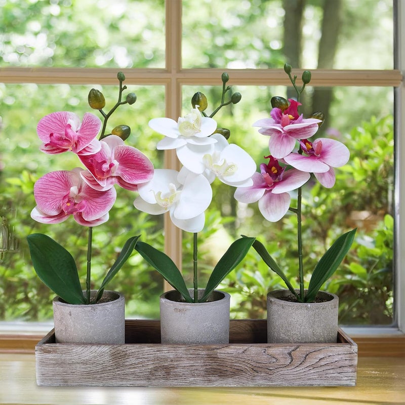 Winlyn Set of 3 Small Artificial Orchid Potted Plants Arrangement with Rustic Wood Planter Box Real Touch Faux Phalaenopsis Moth Orchid Flowers in Pots for Home Office Desk Shelf Table Centerpiece - Image 5