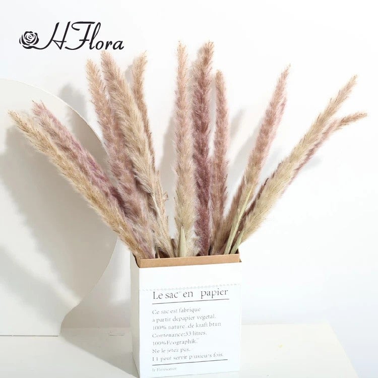Bluejw HFloral Pampas Grass Bouquet - High Quality Dried Plants for Vase Wedding Decor - Hot Sale - Image 4