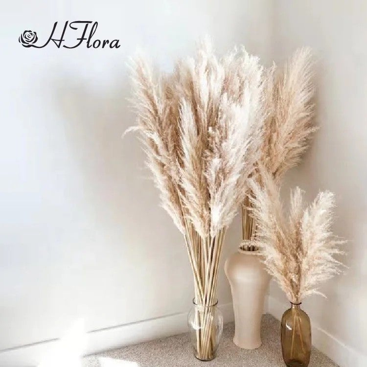 Bluejw HFloral Pampas Grass Bouquet - High Quality Dried Plants for Vase Wedding Decor - Hot Sale - Image 3