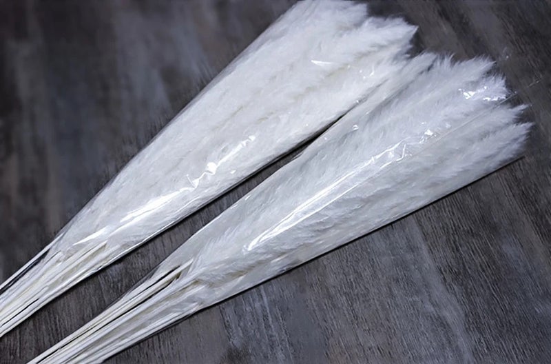 Bluejw HFloral Pampas Grass Bouquet - High Quality Dried Plants for Vase Wedding Decor - Hot Sale - Image 1