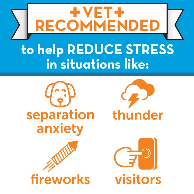 ThunderEase Dog Calming Pheromone Diffuser Kit | Powered by ADAPTIL | Vet Recommended to Relieve Separation Anxiety, Stress Barking & Chewing, and Fear of Fireworks & Thunderstorms (30 Day Supply) - Image 4
