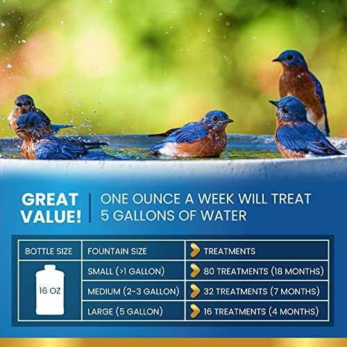 ADIOS! Bird Bath Cleaner for Outdoor Fountains and Bowls, Safely Cleans Metal, Glass and Stone (8oz) - Image 5