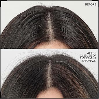 REDKEN Scalp Relief Shampoo Soothing Formula Cleanses and Purifies Greasy Hair and Sensitised Lengths Refreshes the Roots and Adds No Weight Amino Mint 300 ml - Image 4