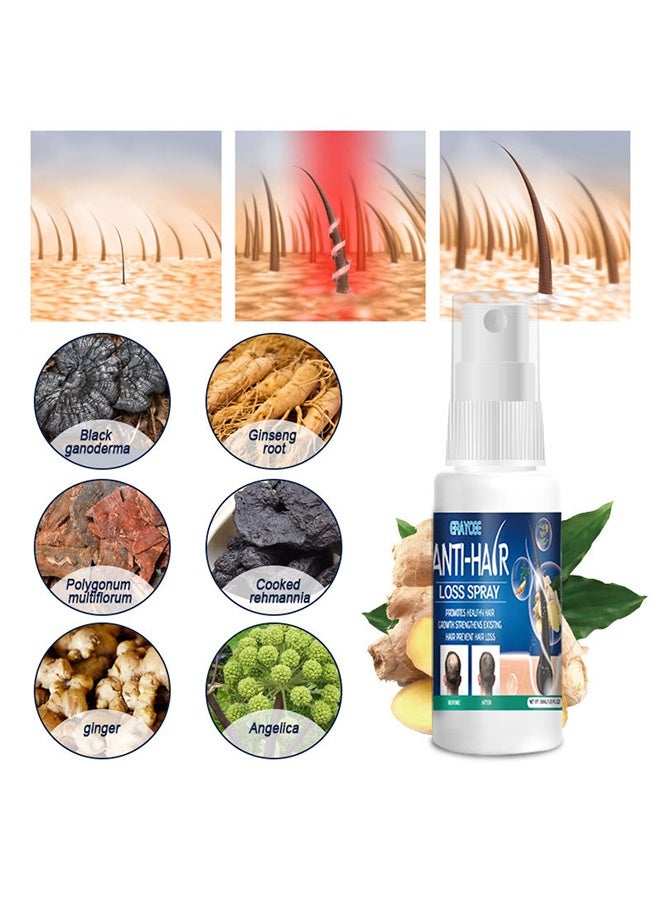 ERAYCEE Anti-hair Loss Spray, Hair Regrowth Spray-Anti Hair Loss Serum，Ginseng and Ginger Hair Growth Booster Serum, Regrowth Spray and Essential Oils - Anti Hair Loss Treatment for Optimal Hair Care 30ml - Image 3
