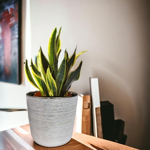 Fox & Fern Premium Imported Ceramic Planter for Vibrant Garden | Enhance The Ambiance of Your Home, Office or Garden (Dia. 5Inch) (GA133B-077-GW) - Image 2