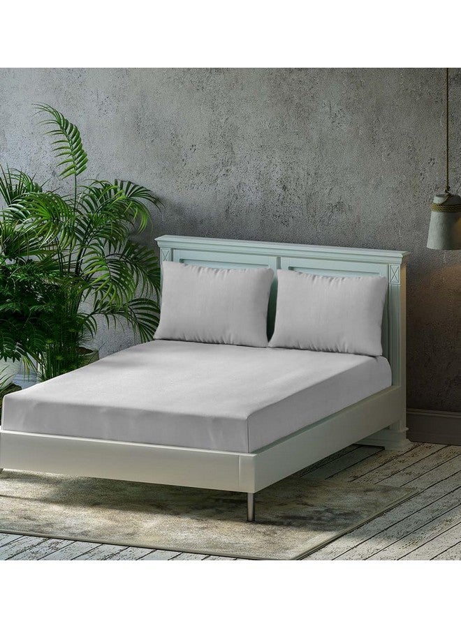 Trance Home Linen Trance Home Linen Premium 300 Tc Pure 100% Cotton Solid Fitted Bedsheet With 2 Pillow Covers(78 X 78 Inch,Silver Grey|All Side Elastic),Full  - Image 1
