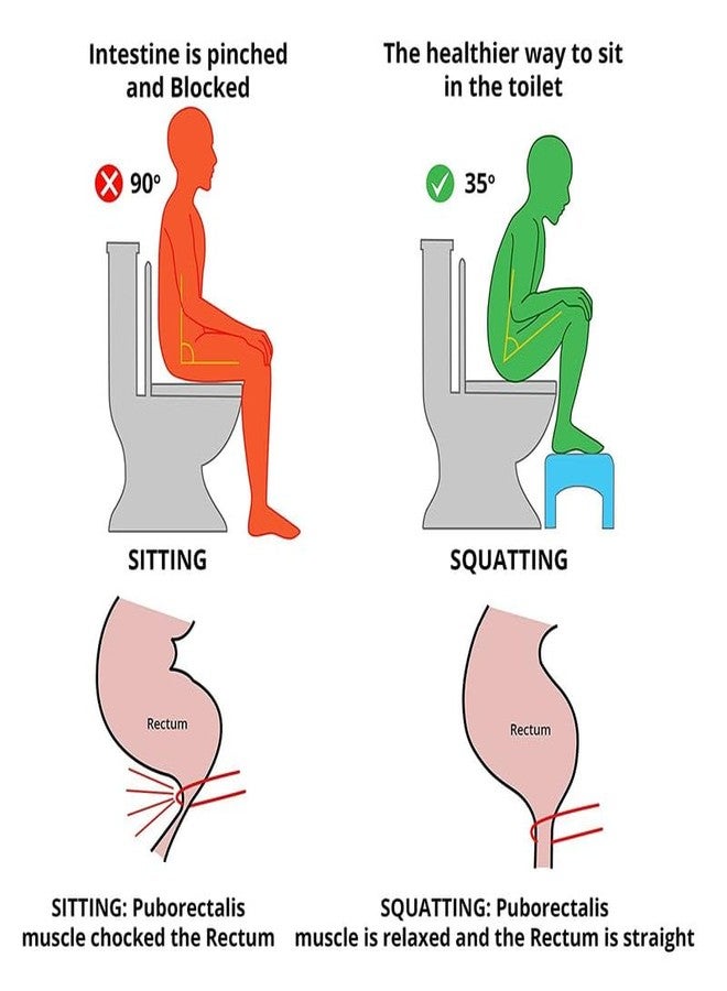 Dkriva Potty Squatty Stool for Adults | Bath Stool | Foldable | Toilet Seat Riser with Handles | for Western Toilet, Bathroom, Anti-Slip & Stool with Air Freshner Slot (1Pcs) - Image 4