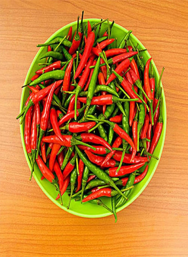 GGOOT 100Pcs Mixed Pepper Seeds Cyan Red Chili DIY Garden Courtyard Decorated Easy Planting Create A Unique Rural Scenery Enjoy The Joy of Harvest - Image 1
