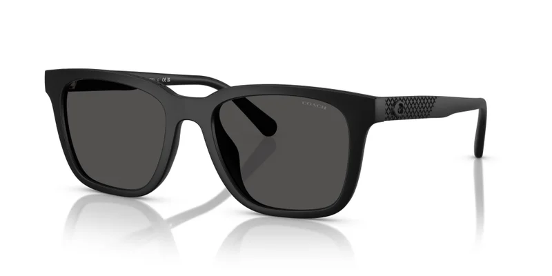 كوتش Coach Man Injected Sunglasses