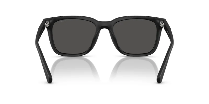 COACH Coach Man Injected Sunglasses