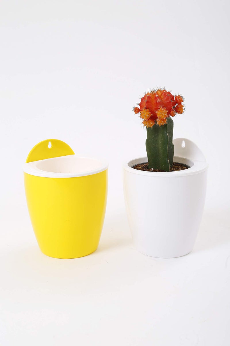 CAPPL Self Watering Hanging Planter Flower Pot (Yellow-White Pack of 3) - Image 4