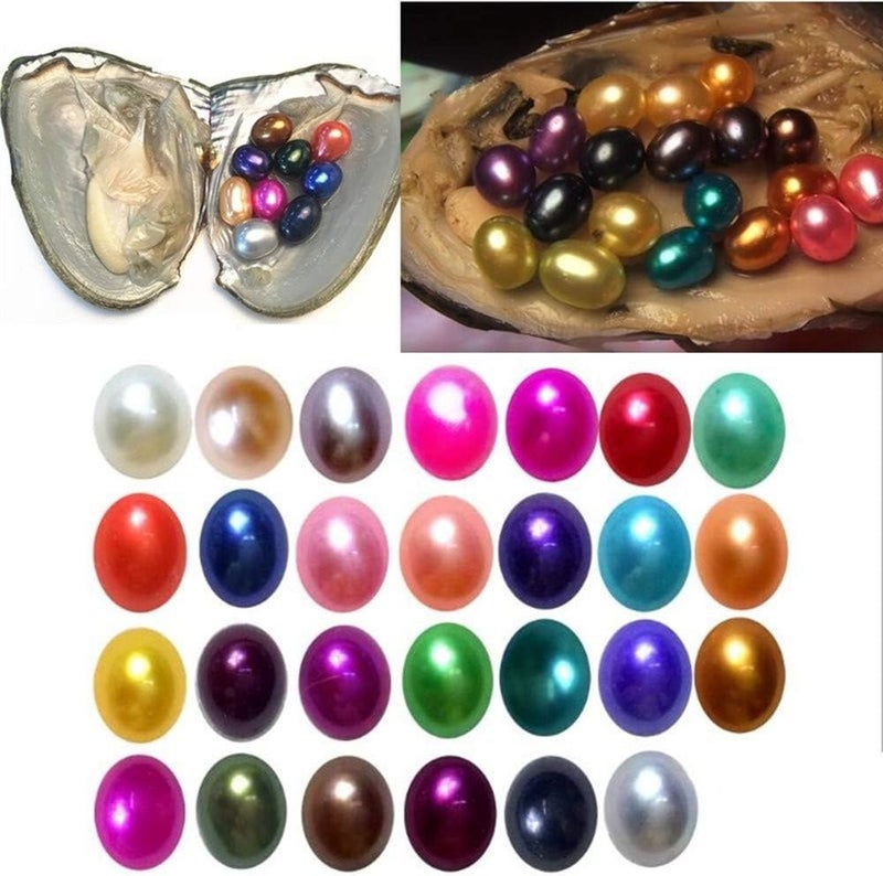 woobles Vacuum Packing Freshwater Oyster Wish Pearls with Multi Colored Oval Pearl Inside (5 PCS Oysters) 5 PCS Oysters - Image 1