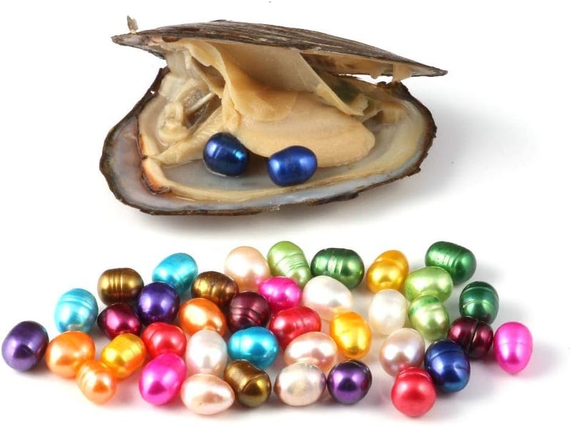 woobles Vacuum Packing Freshwater Oyster Wish Pearls with Multi Colored Oval Pearl Inside (5 PCS Oysters) 5 PCS Oysters - Image 2