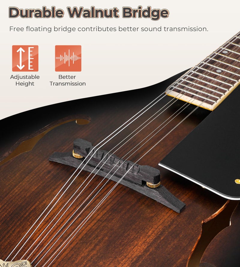Vangoa Mandolin Instrument A Style, Acoustic Mandolin Musical Instrument Solid Spruce Top 8 String for Beginners, Adults, Teens, Dark Brown - Image 3