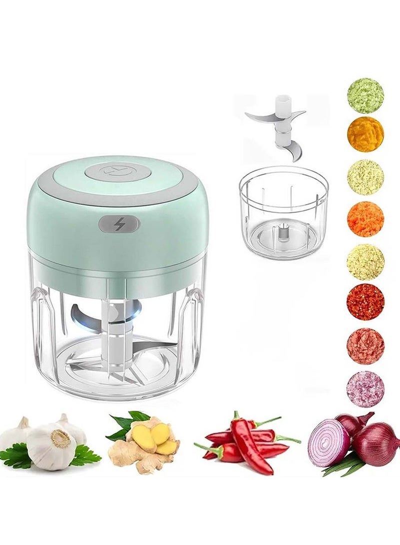 VIUAUAX مفرمة ثوم كهربائية صغيرة، محضر طعام، مفرمة ثوم لاسلكية محمولة، مفرمة لحم مع شحن USB للخضروات والفلفل الحار والفواكه والزنجبيل وأطعمة الأطفال والتوابل 250 مل (أخضر) - Image 1