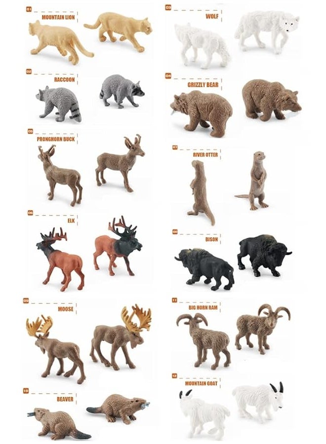 NatureMan North American Animals Set 12PCS Mini Wild Animals Figurines Set cludes Moose Raccoon Cougar Wolf Beaver for Children Educational Toy Cake Toppers - Image 3