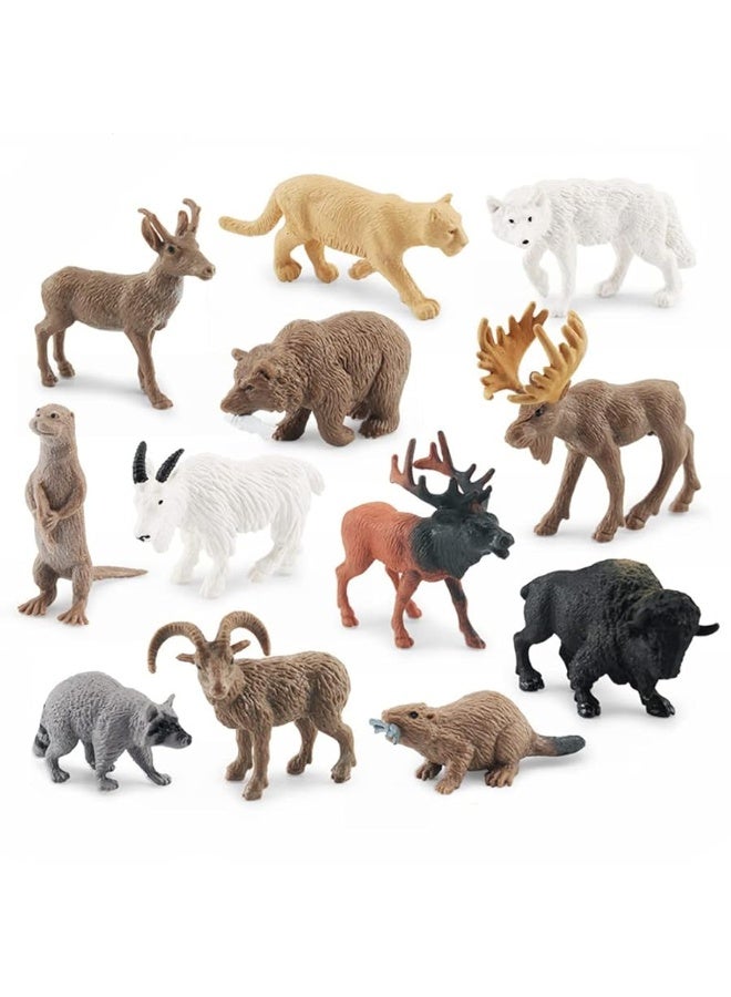 NatureMan North American Animals Set 12PCS Mini Wild Animals Figurines Set cludes Moose Raccoon Cougar Wolf Beaver for Children Educational Toy Cake Toppers - Image 4