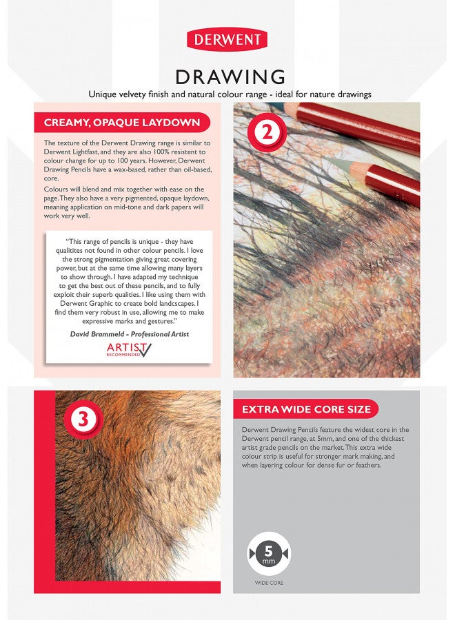 Derwent Colored Drawing Pencils, 5mm Core, Pack, 6 Count (0700476) - Image 4