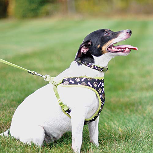Coastal Pet Ribbon Designer Wrap Adjustable Dog Harness - Large & Small Dog Harness - Breathable Mesh Harness for Dogs Pet Supplies for Dogs - Brown Paws & Bones, 5/8" x 16-19" - Image 2