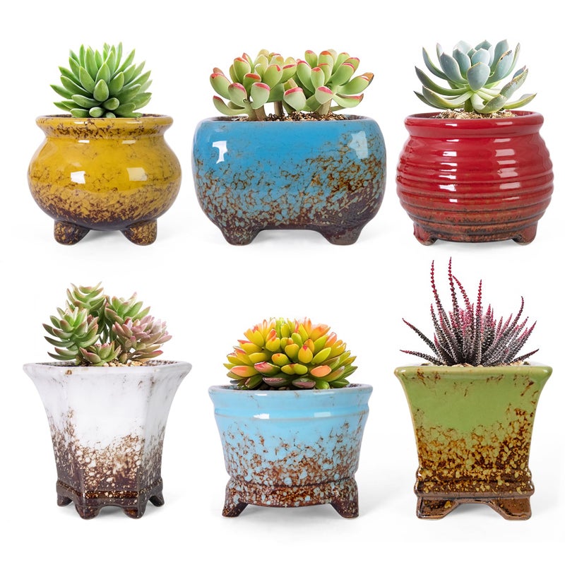 ARTKETTY Succulent Pots - Small Succulent Plant Pot with Drainage Set of 6, Ceramic Cactus Planter Pots for Indoor Unique Flower Planter Container for Home Office Decor - Image 1