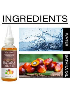 West&Month Batana Oil KIT, 100% Natural Batana Oil Organic With Micro-Needle Roller, Hair Growth For Men And Women, Enhances Hair And Skin Radiance, Hair Oil For Hair Growth And Treatment, 60ML  - Image 3