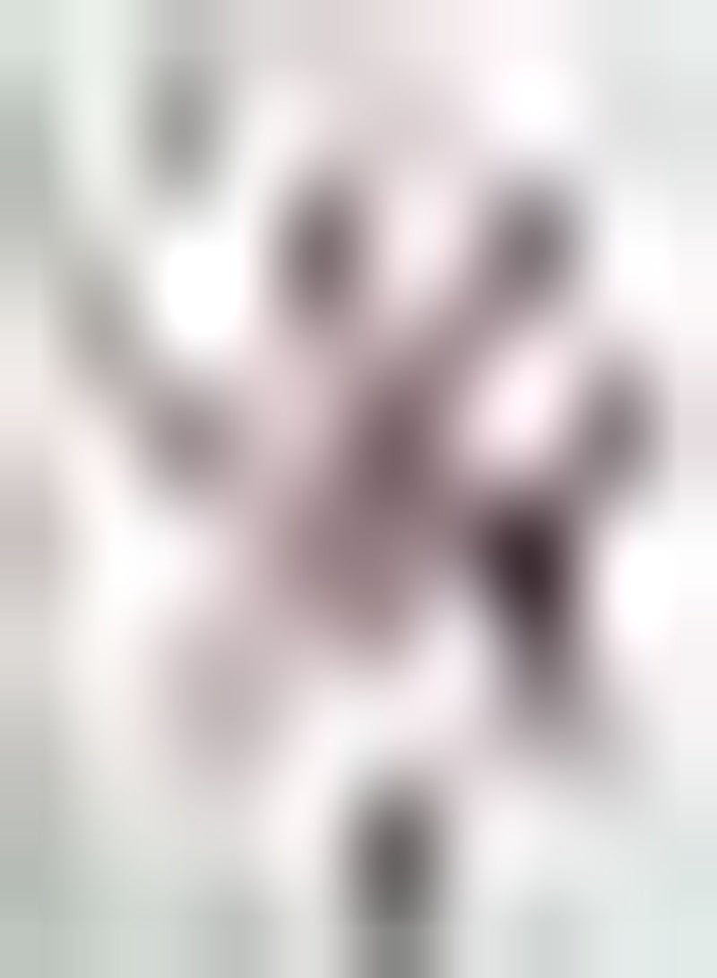 جي جوت x rosafarbene Amaryllis Zwiebeln Blumen Leichter Duft geeignet für schöne Blumen die im Gartenhof gepflanzt Werden Gute Wahl für die Dekoration der Familienumgebung - Image 1